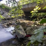 En raison de la sécheresse et pour sauver la faune aquatique, une lance à incendie alimente en eau potable la Drize, dans le canton de Genève.